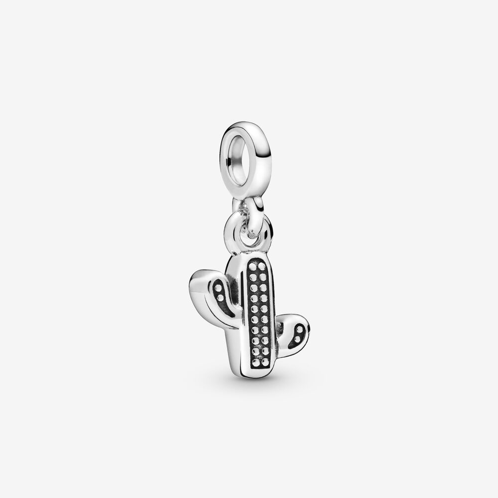 My Lovely Cactus Dangle Charm – Enchantress Co