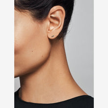 Load image into Gallery viewer, My Pride Single Stud Earring