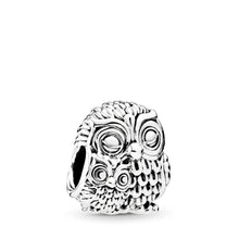 Load image into Gallery viewer, Pandora Charming Owls Charm