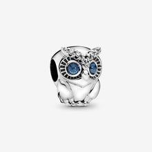 Load image into Gallery viewer, Sparkling Owl Charm