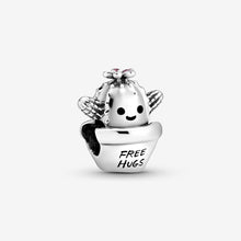 Load image into Gallery viewer, Free Hugs Cactus Charm