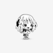 Load image into Gallery viewer, Harry Potter, Hermione Granger Charm