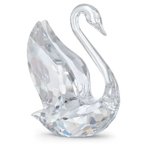 Signum Swan, Large
